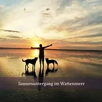 De Spant Mit Blick Auf Wattenmeer アパート *