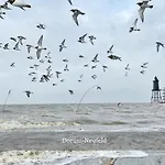 De Spant Mit Blick Auf Wattenmeer Neufeld (Schleswig-Holstein)