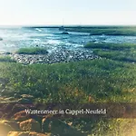 De Spant Mit Blick Auf Wattenmeer *