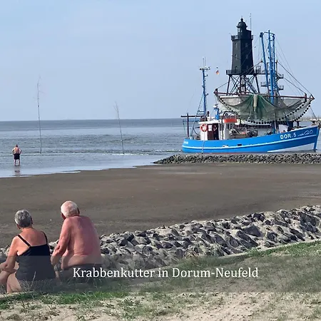 De Spant Mit Blick Auf Wattenmeer