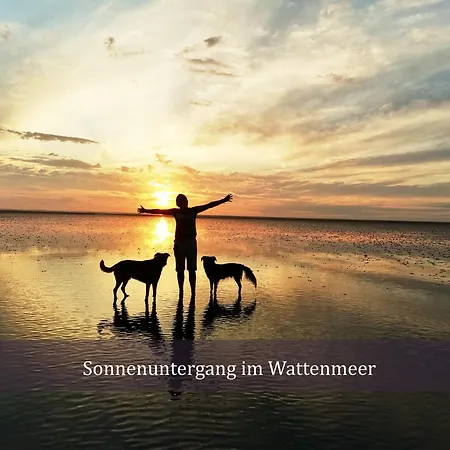 De Spant Mit Blick Auf Wattenmeer Apartment *