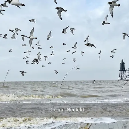 De Spant Mit Blick Auf Wattenmeer Neufeld (Schleswig-Holstein)