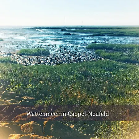 De Spant Mit Blick Auf Wattenmeer *