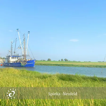 Apartment De Spant Mit Blick Auf Wattenmeer